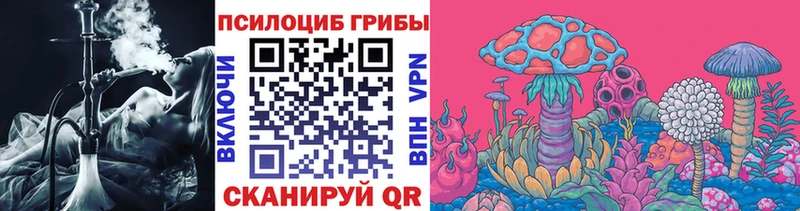 Купить где  Куйбышев  Псилоцибиновые грибы Psilocybe 